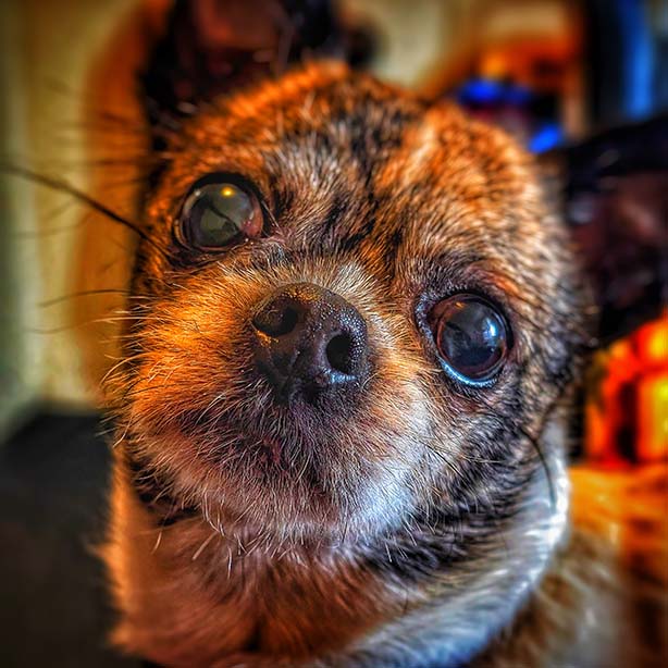 These are the rules for our server.